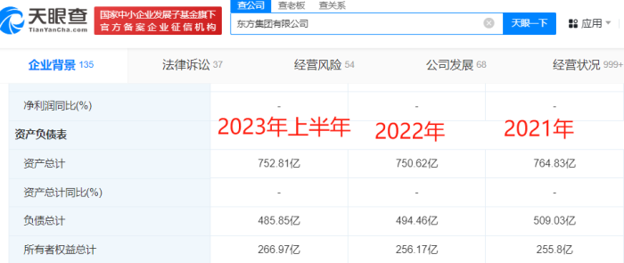 东方集团有限公司总资产情况，图源：天眼查
