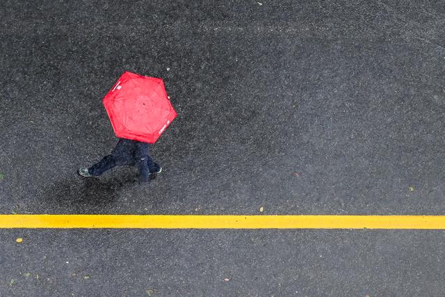 2024年11月1日，上海，市民撑伞在暴雨中出行。澎湃新闻记者 朱伟辉 图